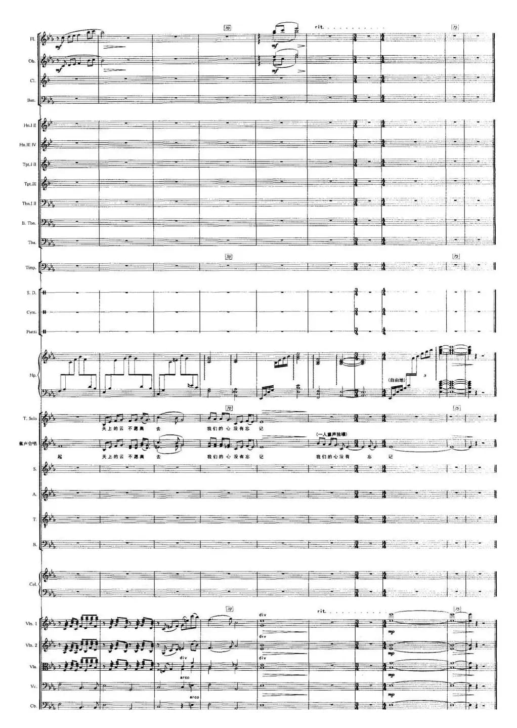 召唤（宋小明词 栾凯曲）（声乐及伴奏总谱）