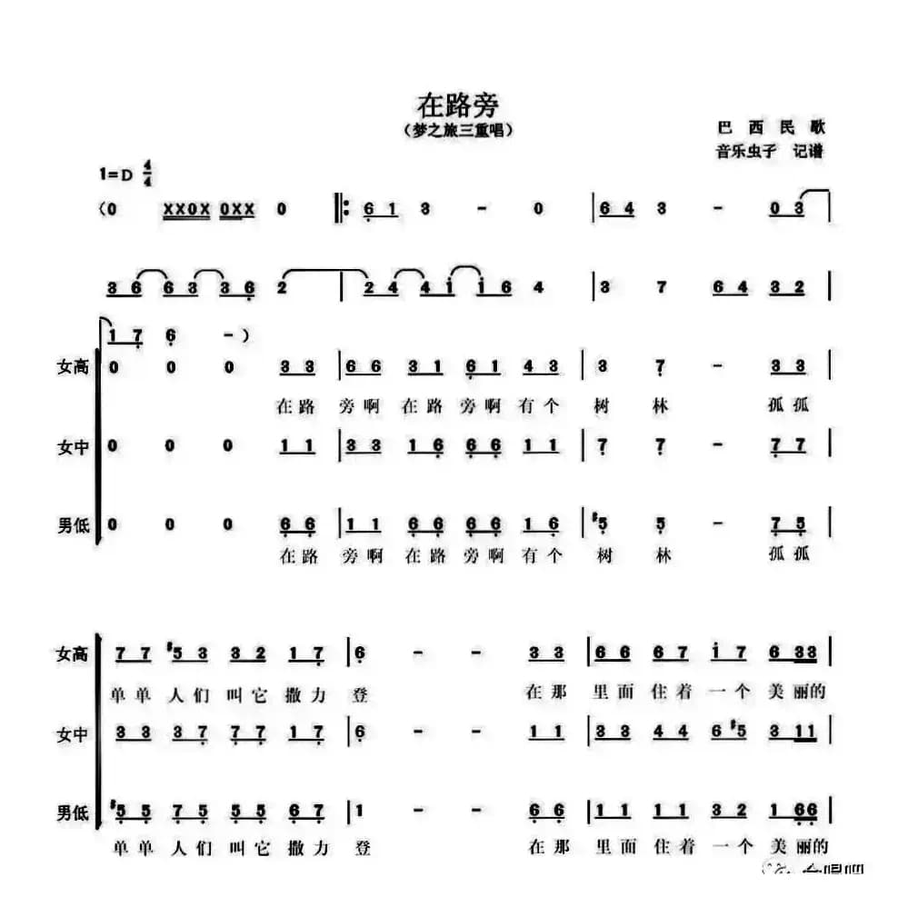 [巴西]在路旁（梦之旅三重唱版）