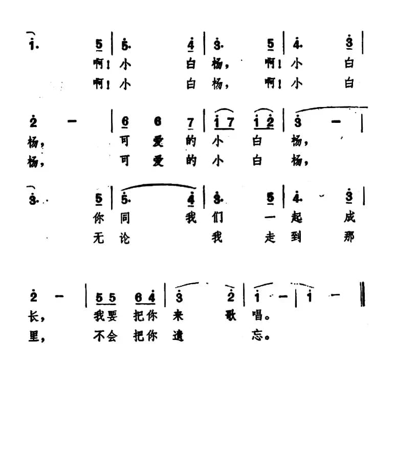 校园里的小白杨（杨春华词 王莘曲）