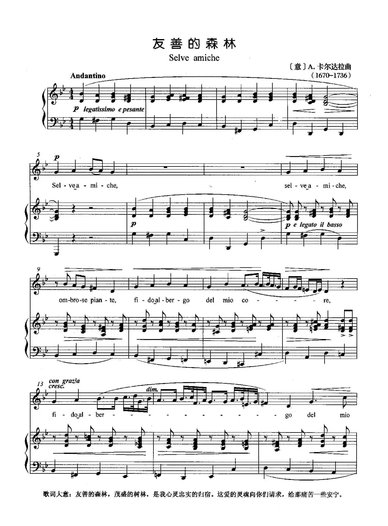 [意]友善的森林（正谱）