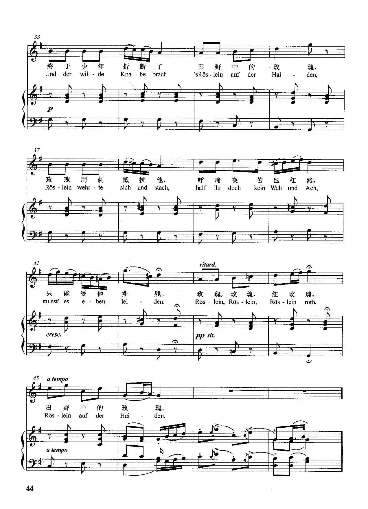 [奥]野玫瑰（正谱）