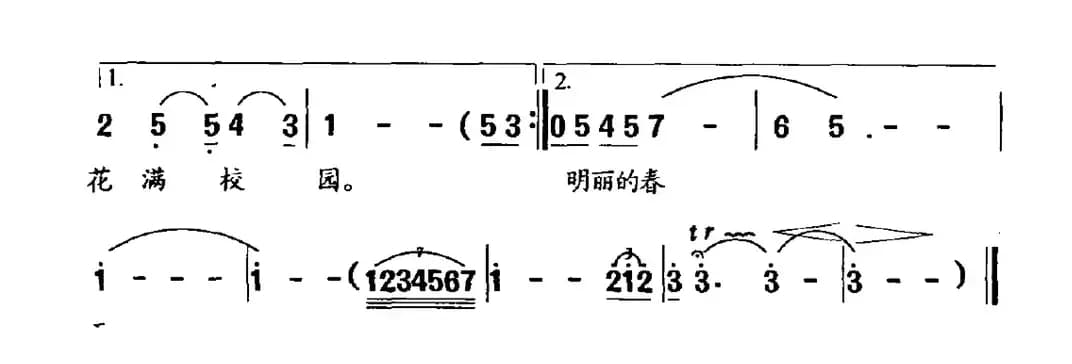 紫罗兰（望安词 杨春华曲）