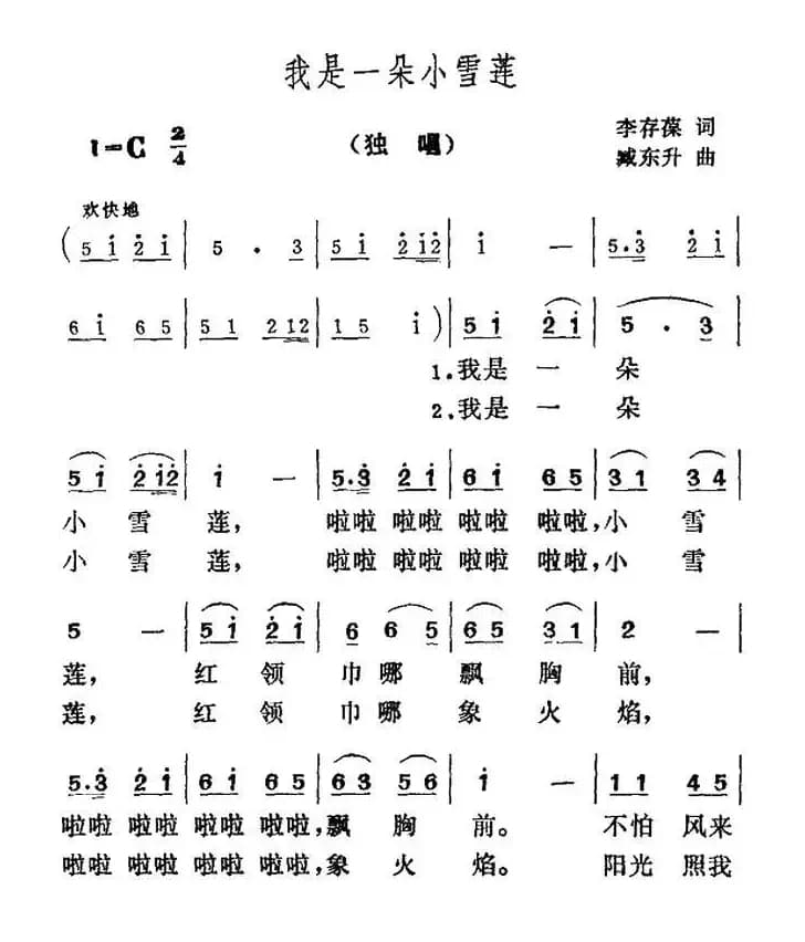 我是一朵小雪莲