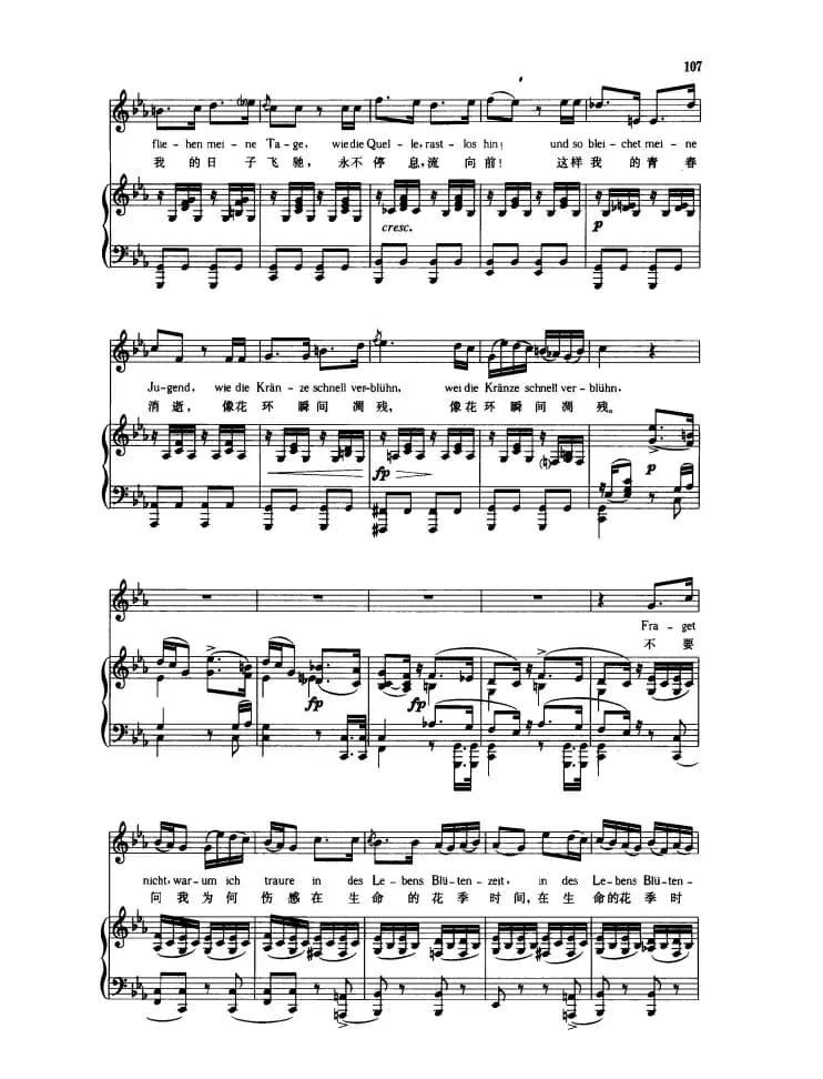 溪边少年（中外文对照版、正谱）