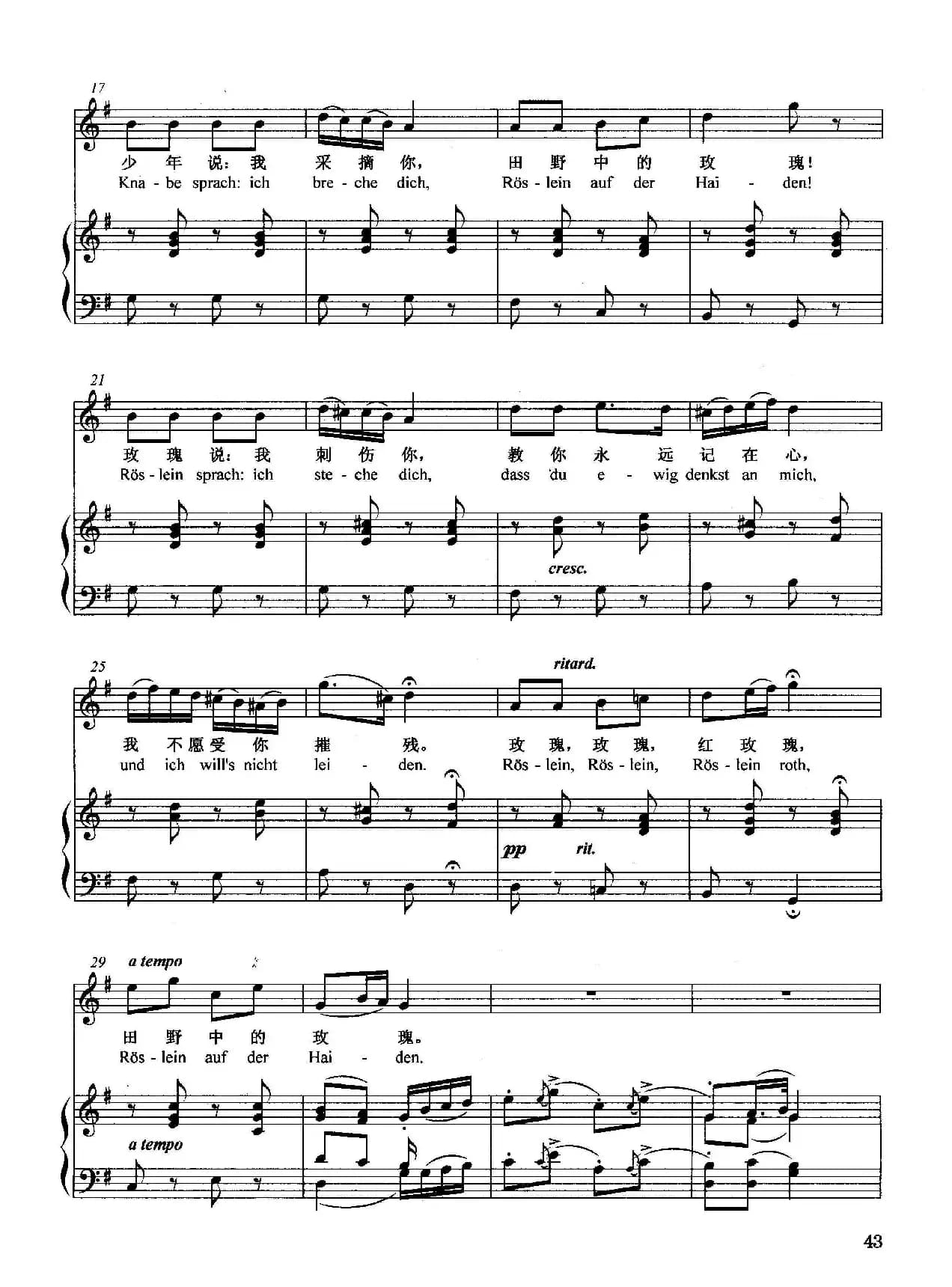 [奥]野玫瑰（正谱）