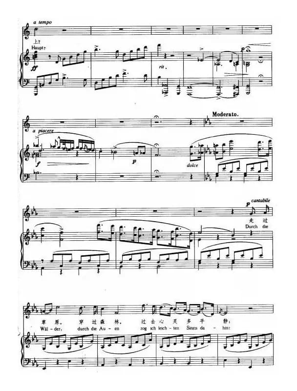 走过草原，穿过森林（正谱 [德]）