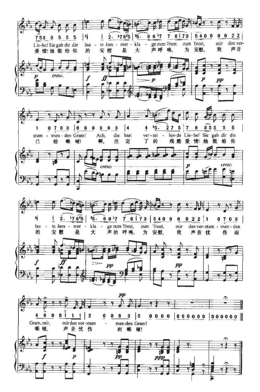 Die laute Klage（大声的悲叹）（中外文对照、正谱+简谱）