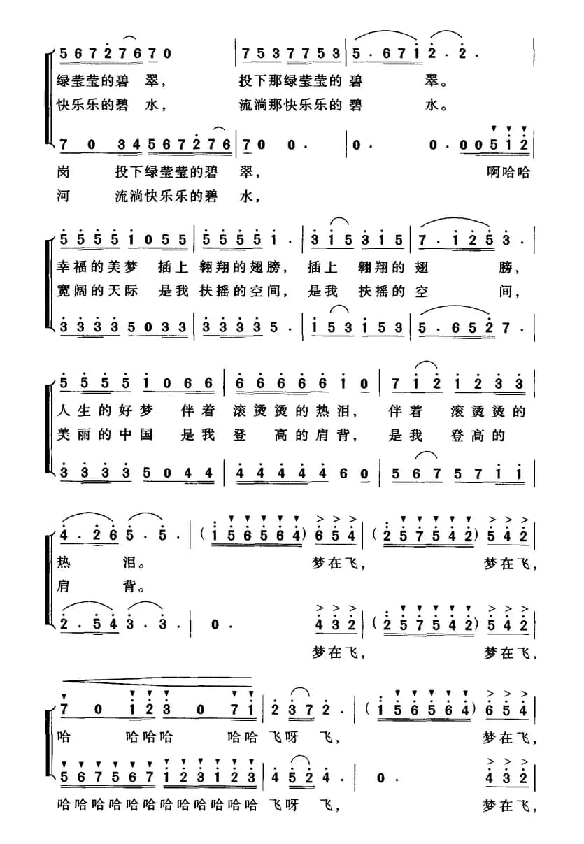 梦在飞（肖正民词 吴解元曲）