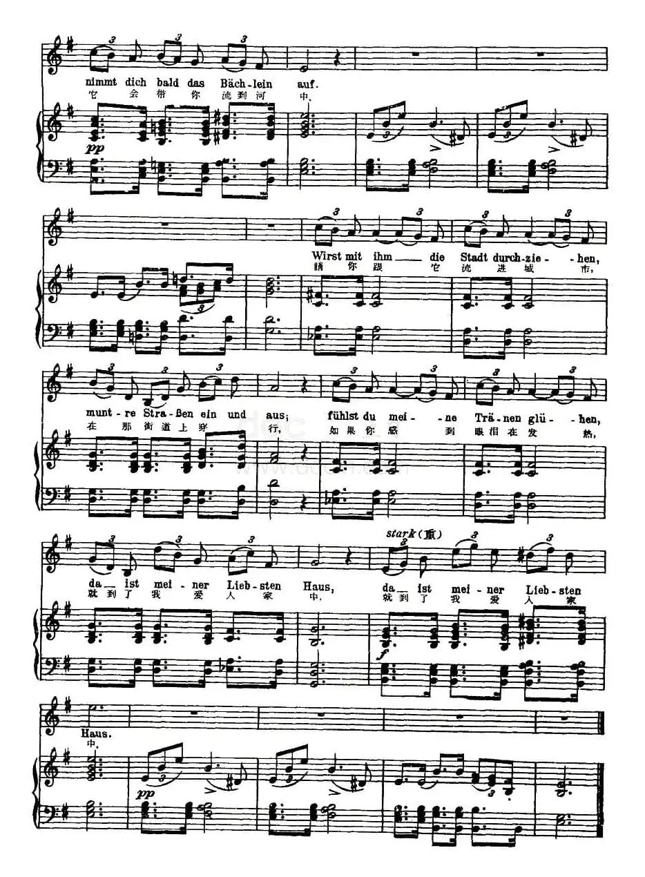 泪河（中外文对照版、正谱 [奥]）