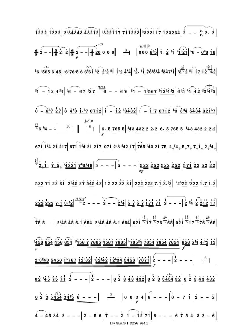 阿曼尼莎（二胡协奏曲）