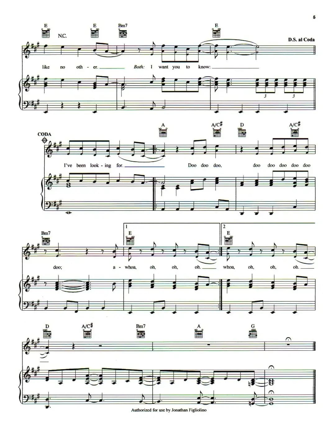 [美]What I've Been Looking For（我有多么寂寞）（正谱）