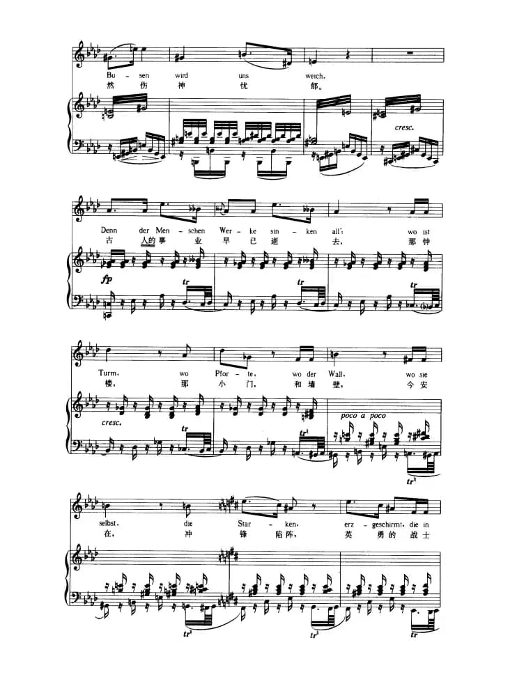 多瑙河上（中外文对照版、正谱 [奥]）