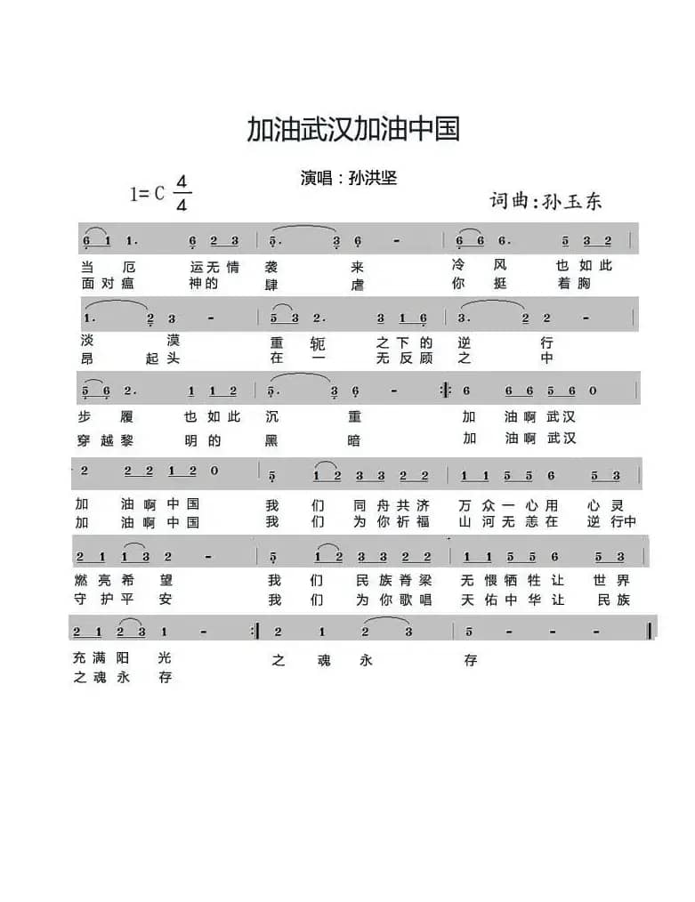 加油武汉加油中国