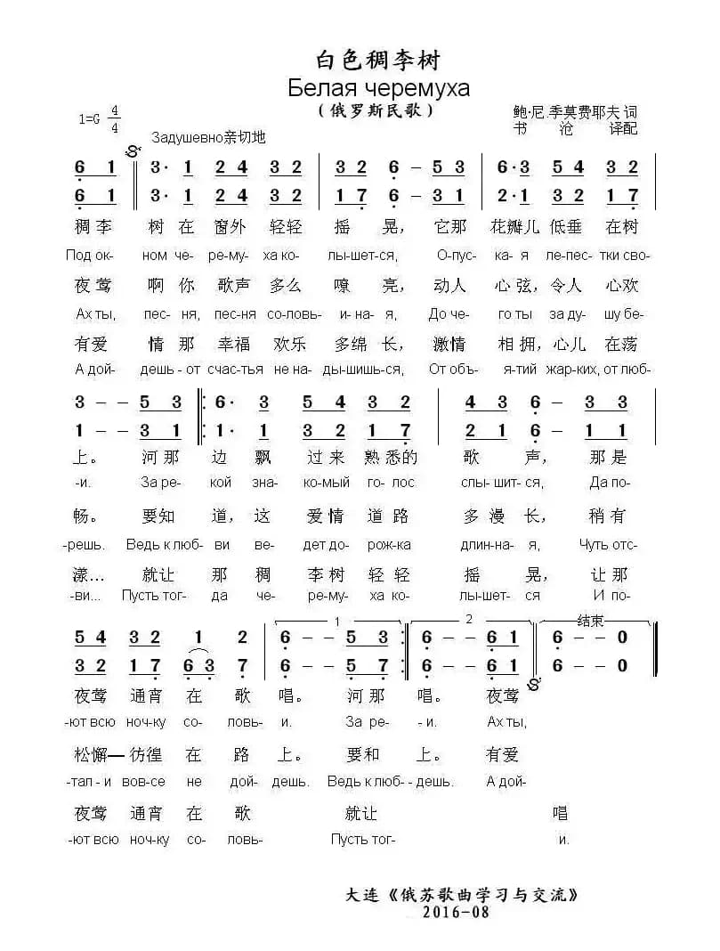 [俄]白色稠李树