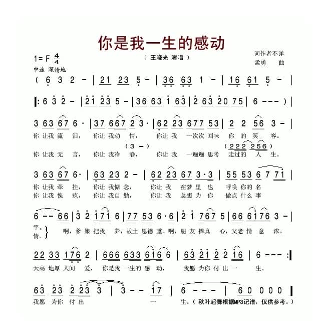 你是我一生的感动