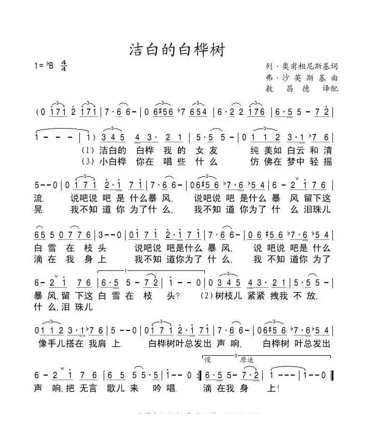 洁白的白桦树（俄）