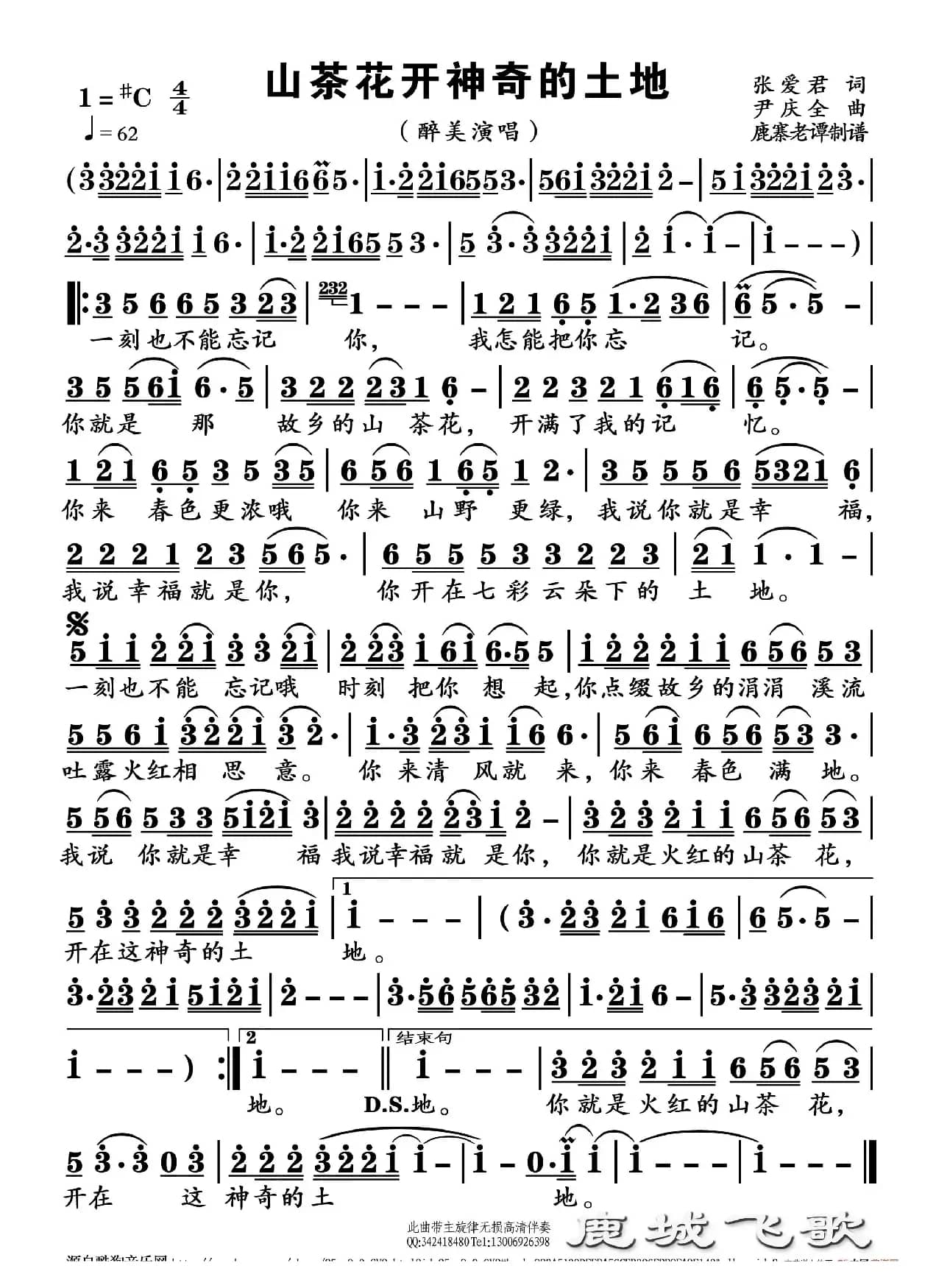 山茶花开神奇的土地