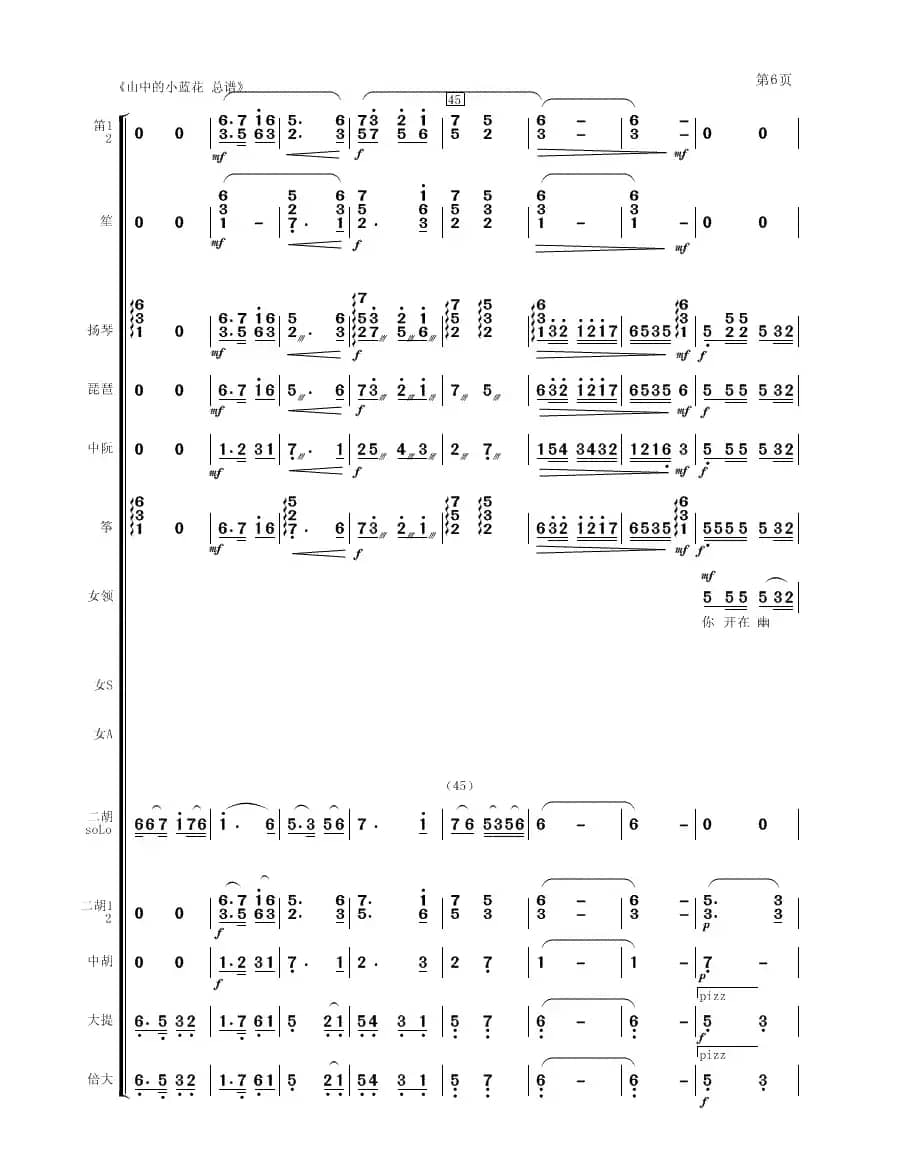 山中的小蓝花（二胡、女声与乐队）