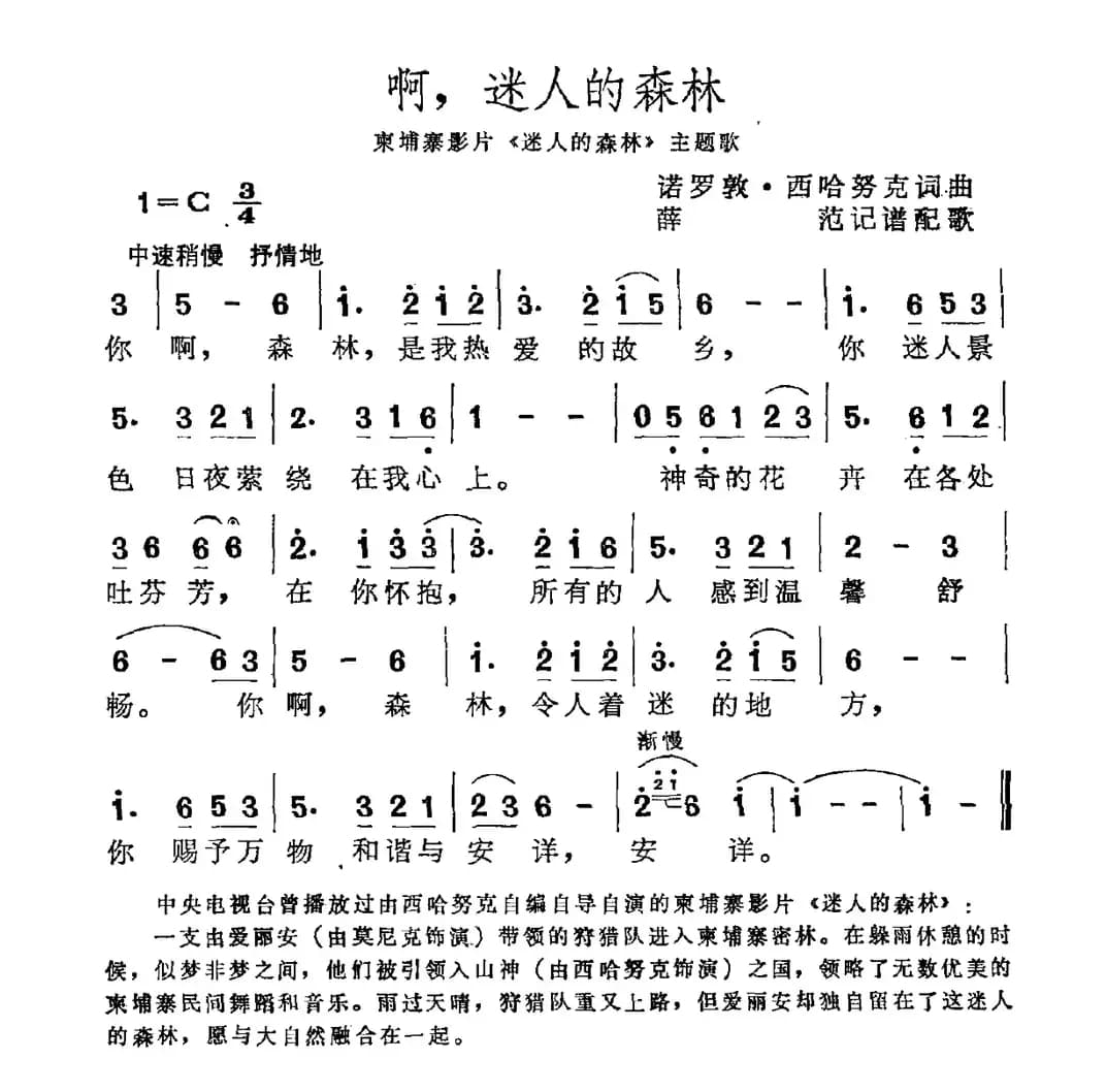 [柬埔寨]啊，迷人的森林