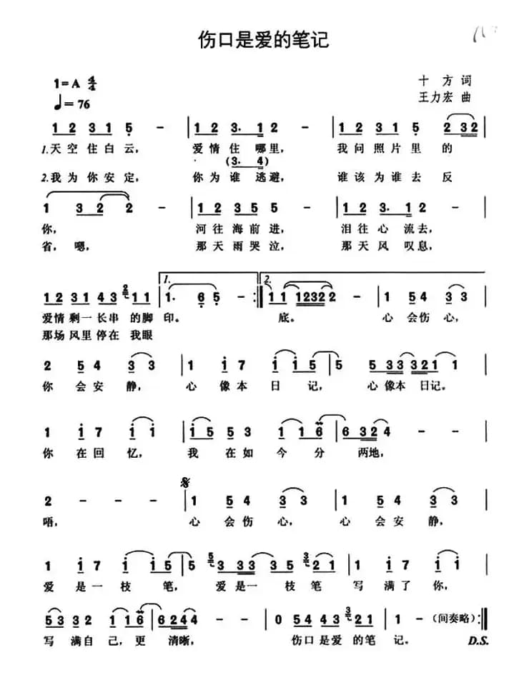 伤口是爱的笔记