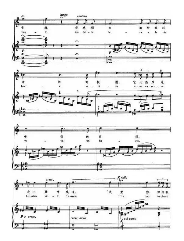 有一天我遥望天空（正谱 [意]）