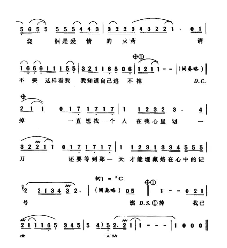 燃烧（孙楠演唱版）