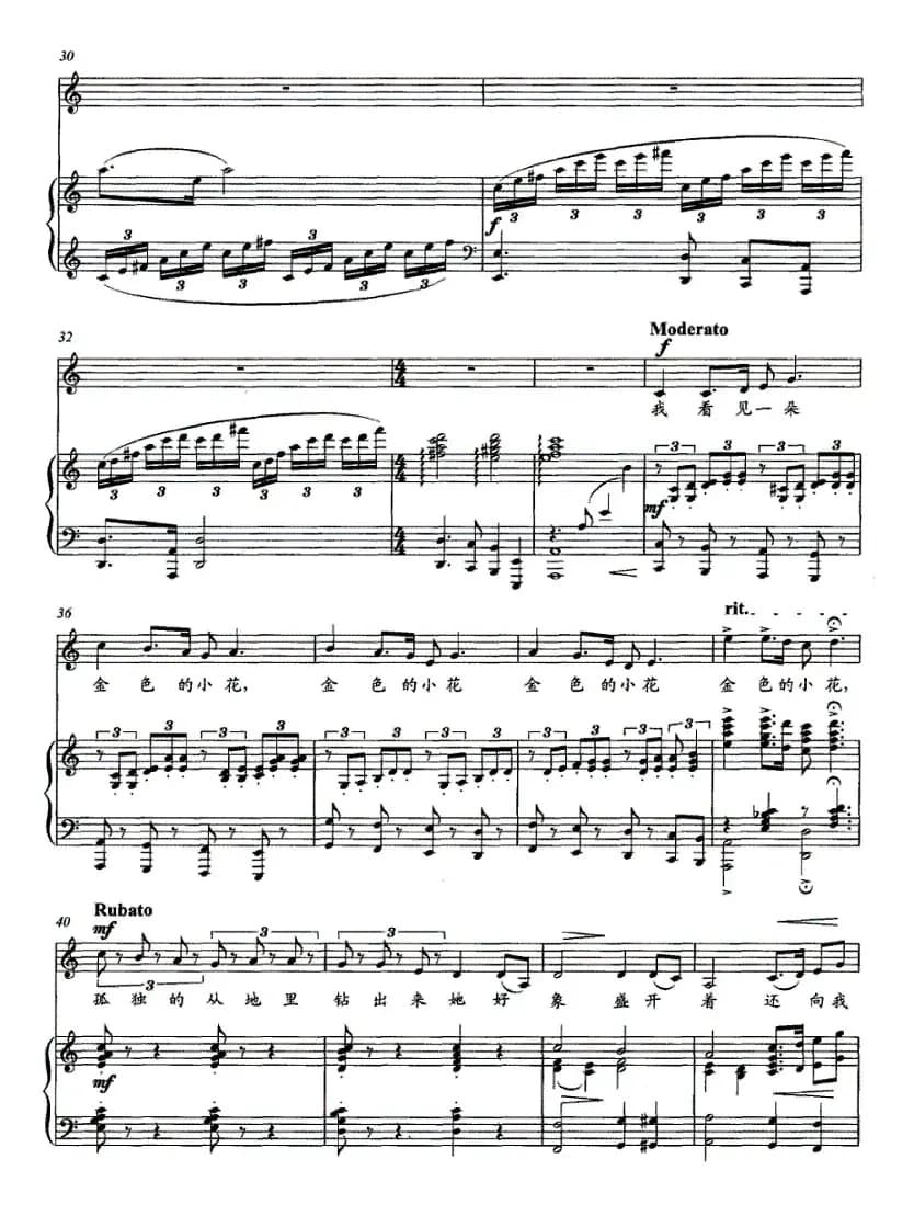金色的小花（正谱）