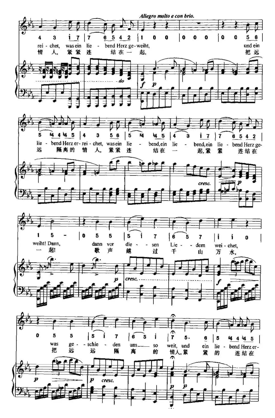 致远方的恋人（中外文对照、线简谱混排版）