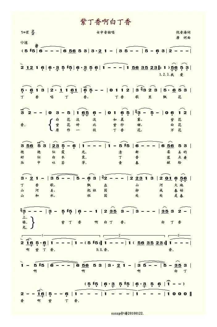 紫丁香啊白丁香