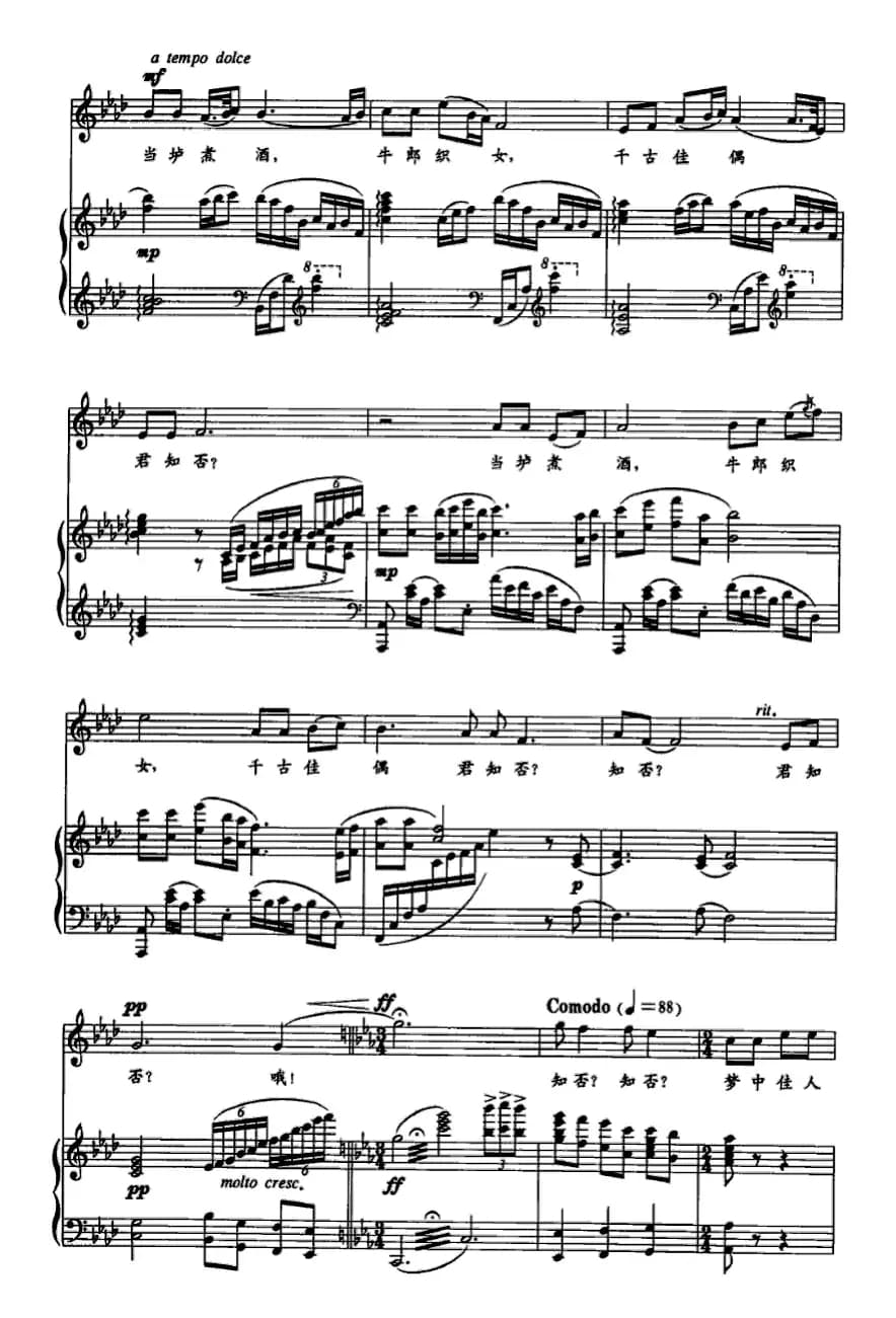 梦中佳人（音乐剧《中国蝴蝶》选曲 [正谱]）