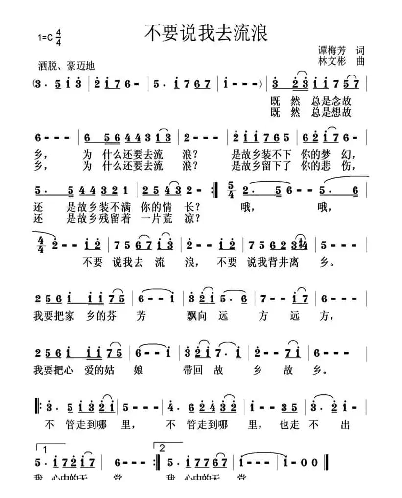 不要说我去流浪