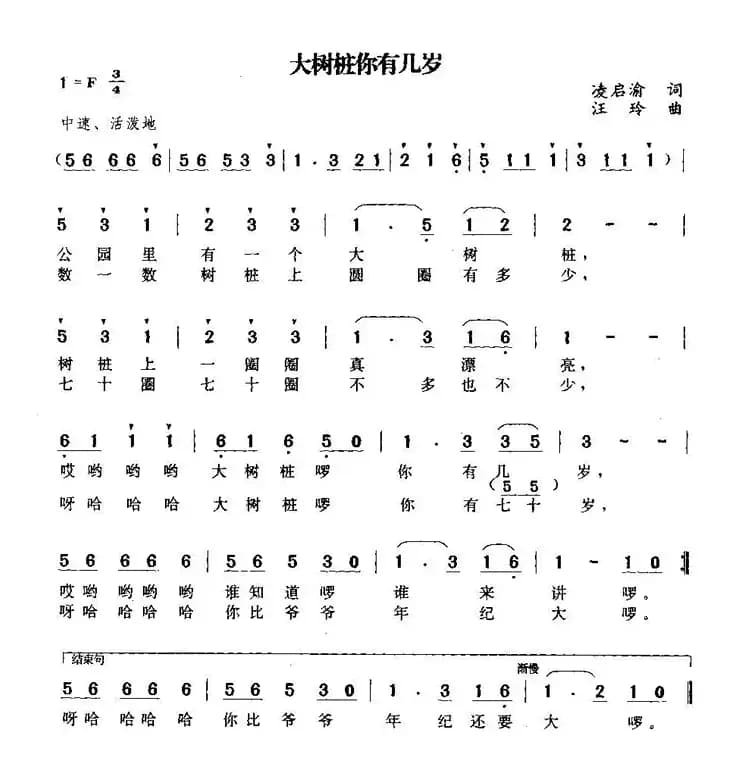 大树桩你有几岁