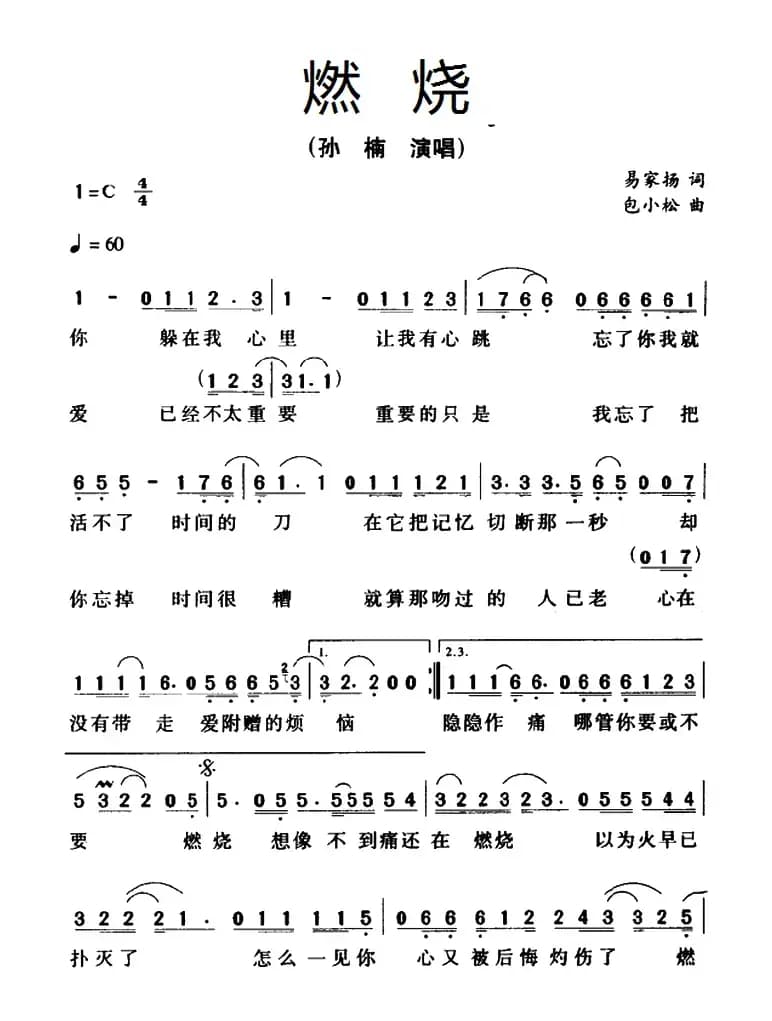 燃烧（孙楠演唱版）