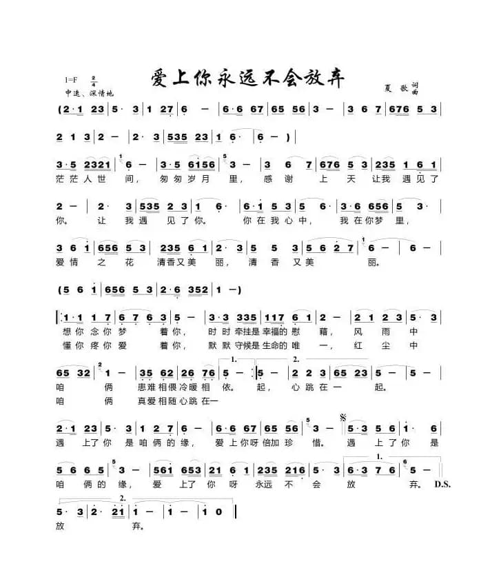 爱上你永远不会放弃