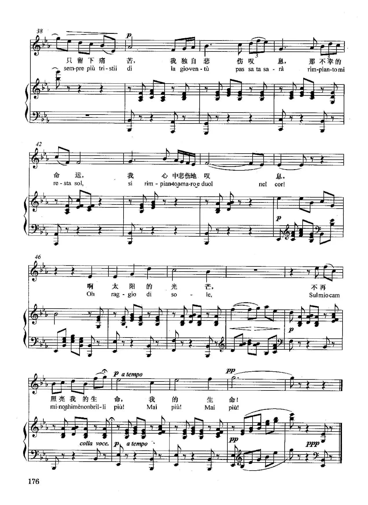 [意]悲叹的小夜曲（正谱）