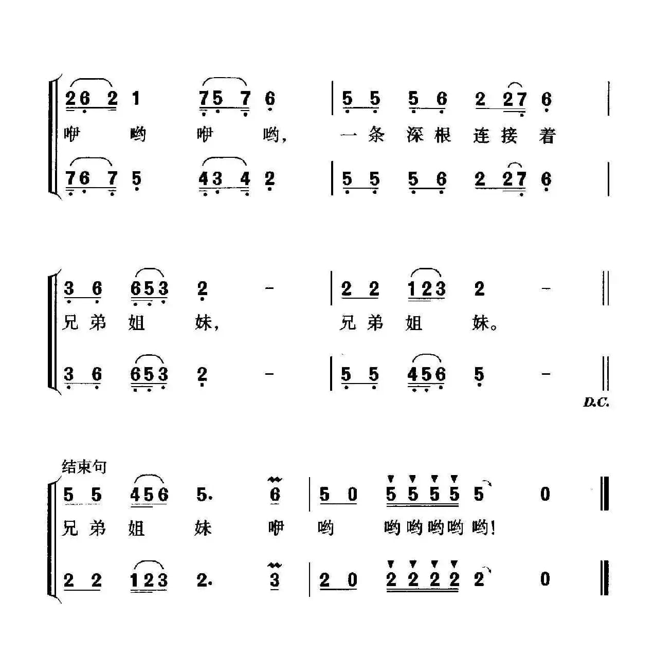 热烈的侨乡情（女声小合唱）
