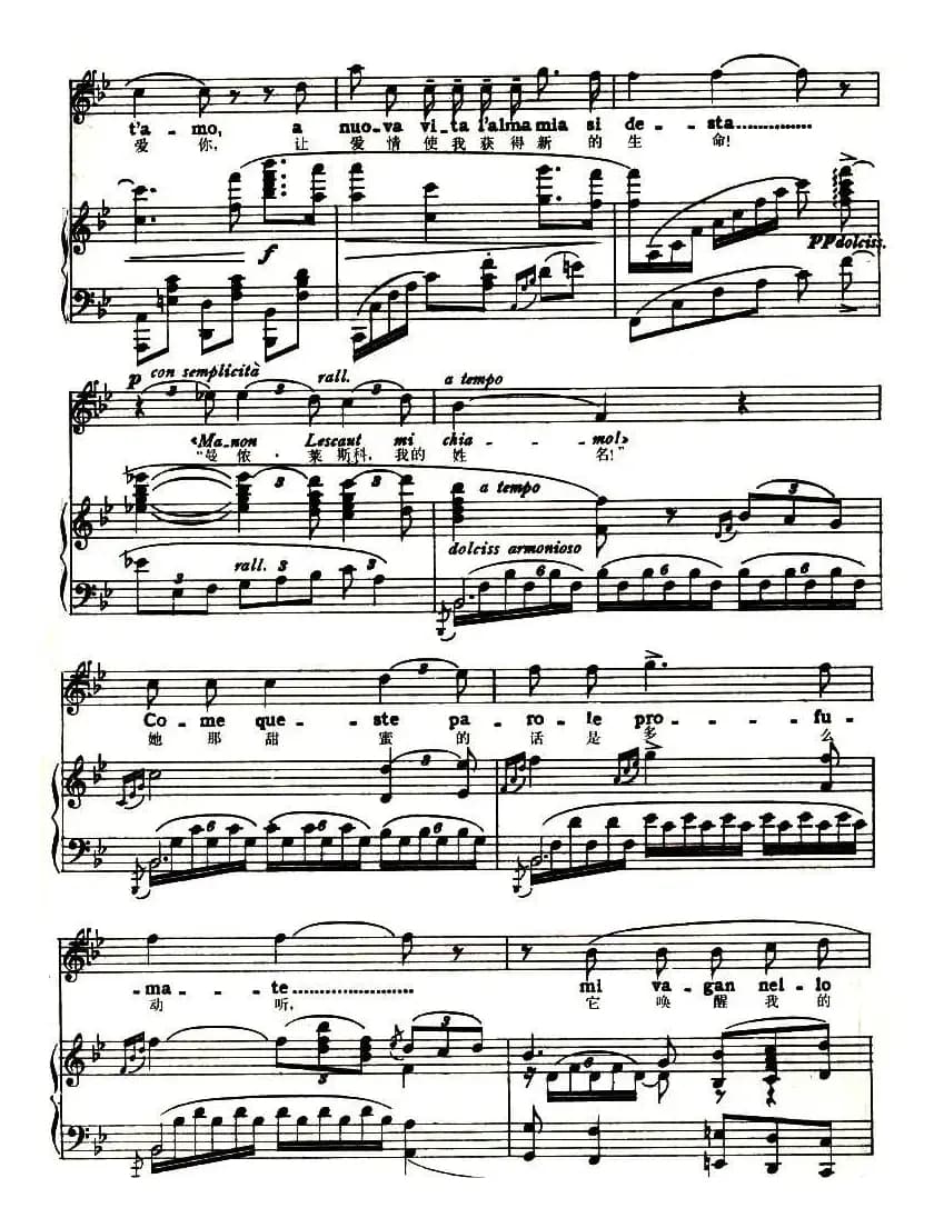 我从来没有见过（中外文对照、正谱）