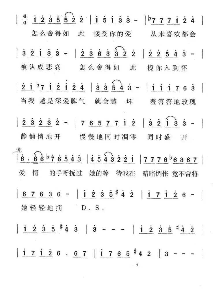 羞答答的玫瑰静悄悄的开