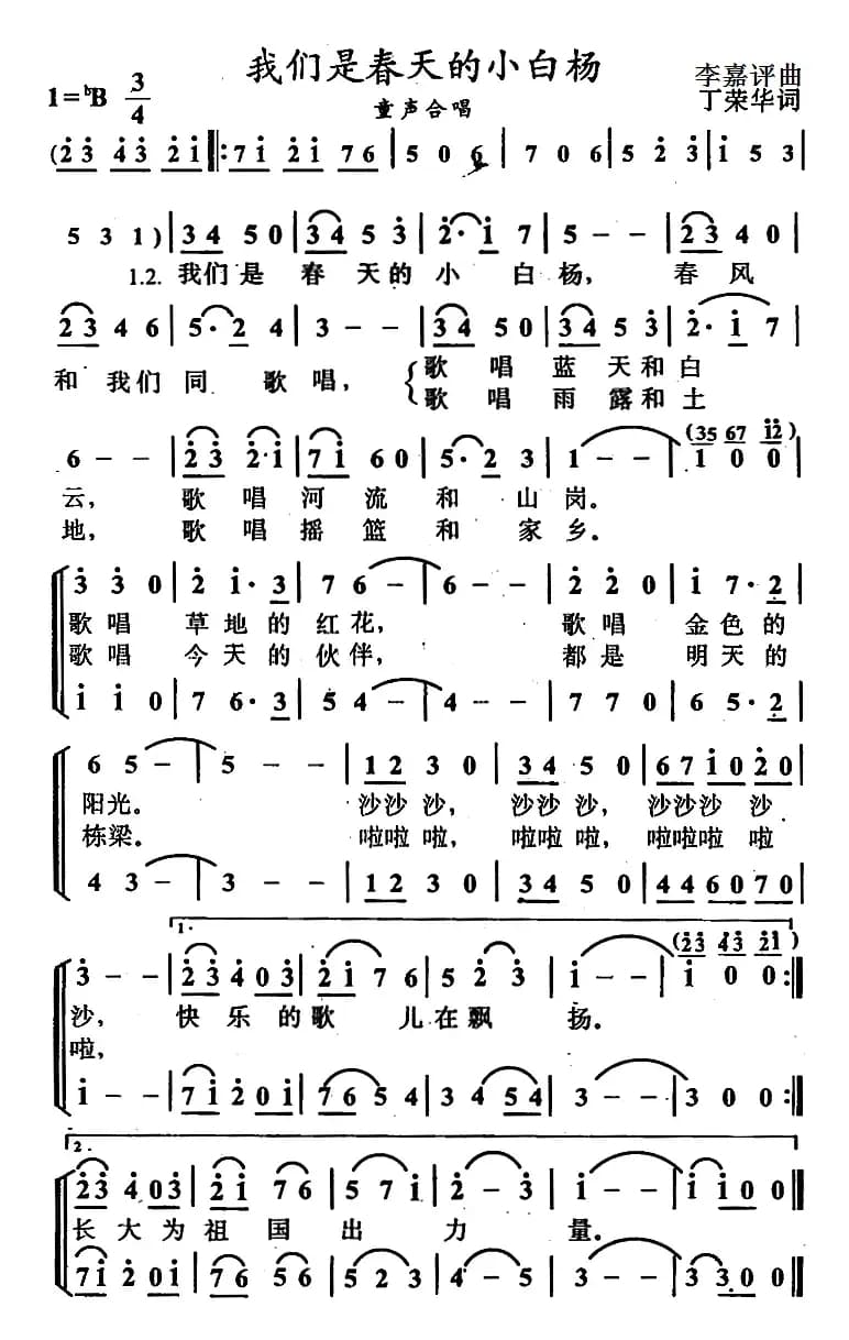 我们是春天的小白杨