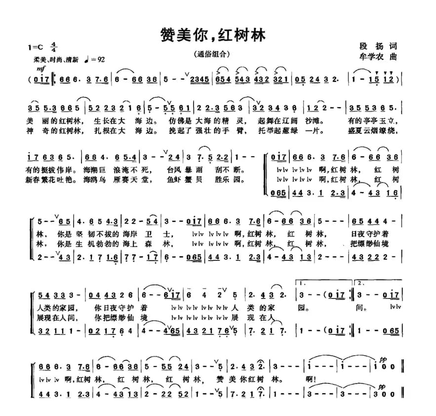 赞美你，红树林