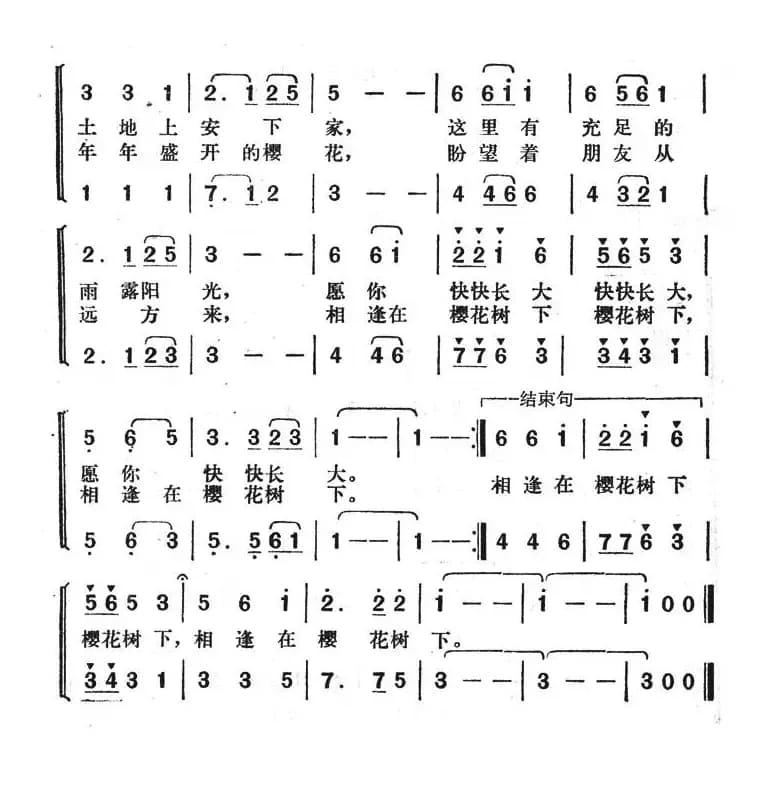 相逢在樱花树下