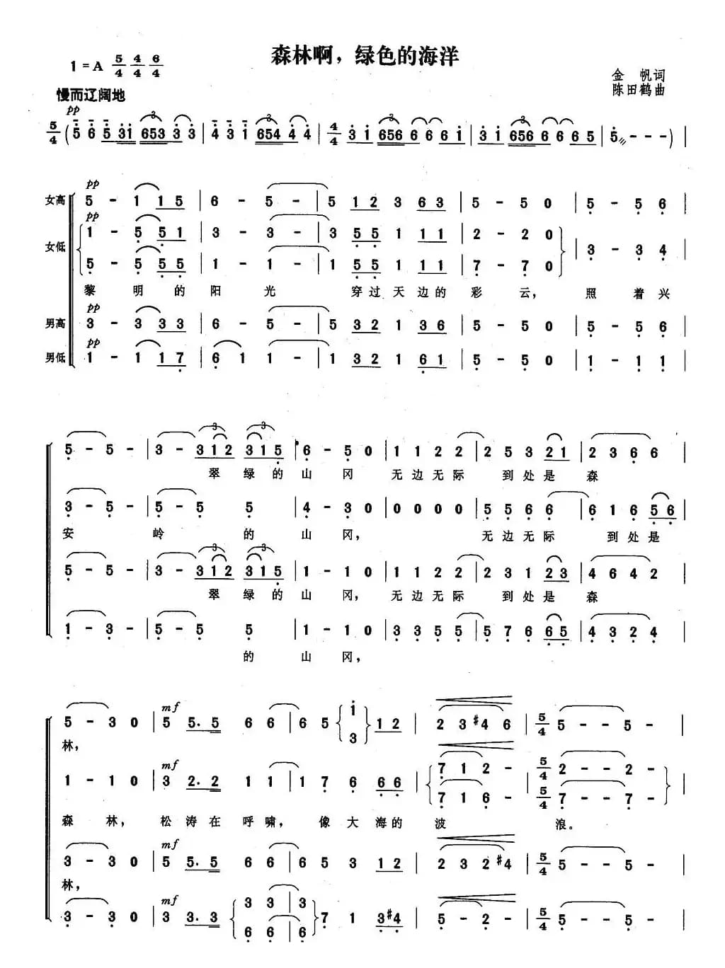 森林啊，绿色的海洋