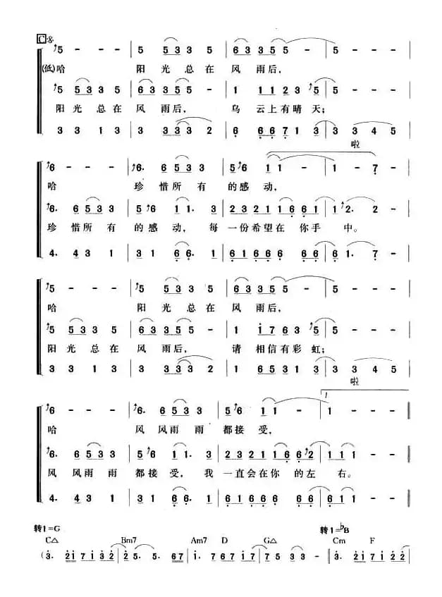阳光总在风雨后