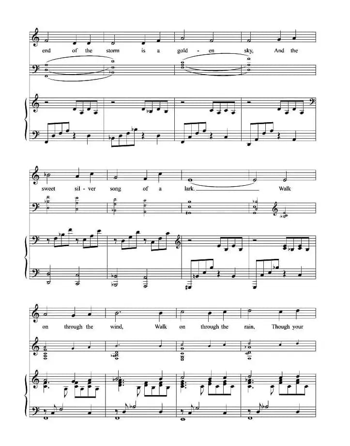 你永远不会独自行走（正谱 [美]）