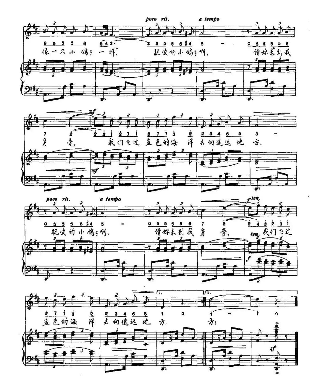 [墨西哥]鸽子（正谱）