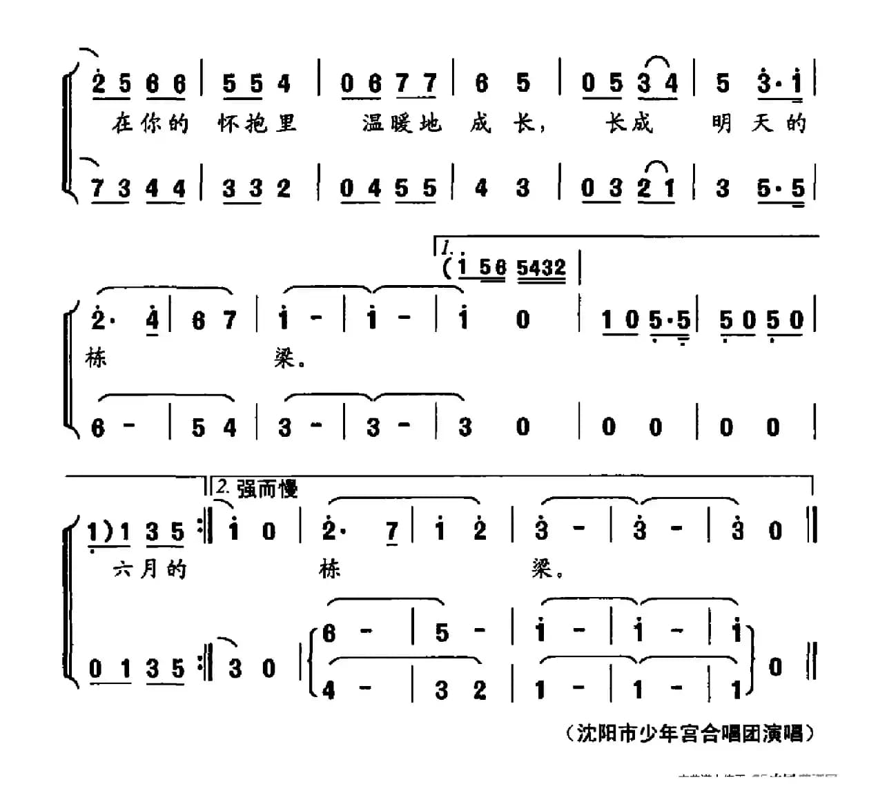 中国放飞的希望