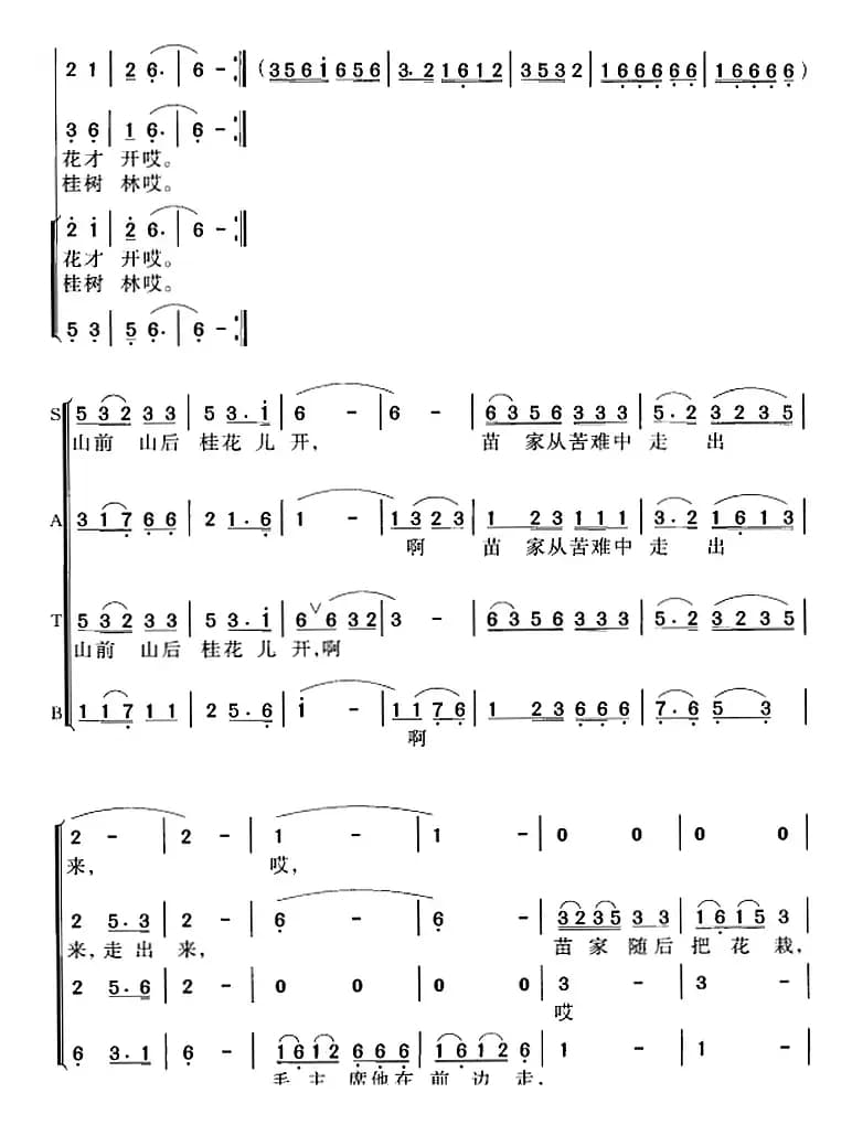 桂花开放幸福来
