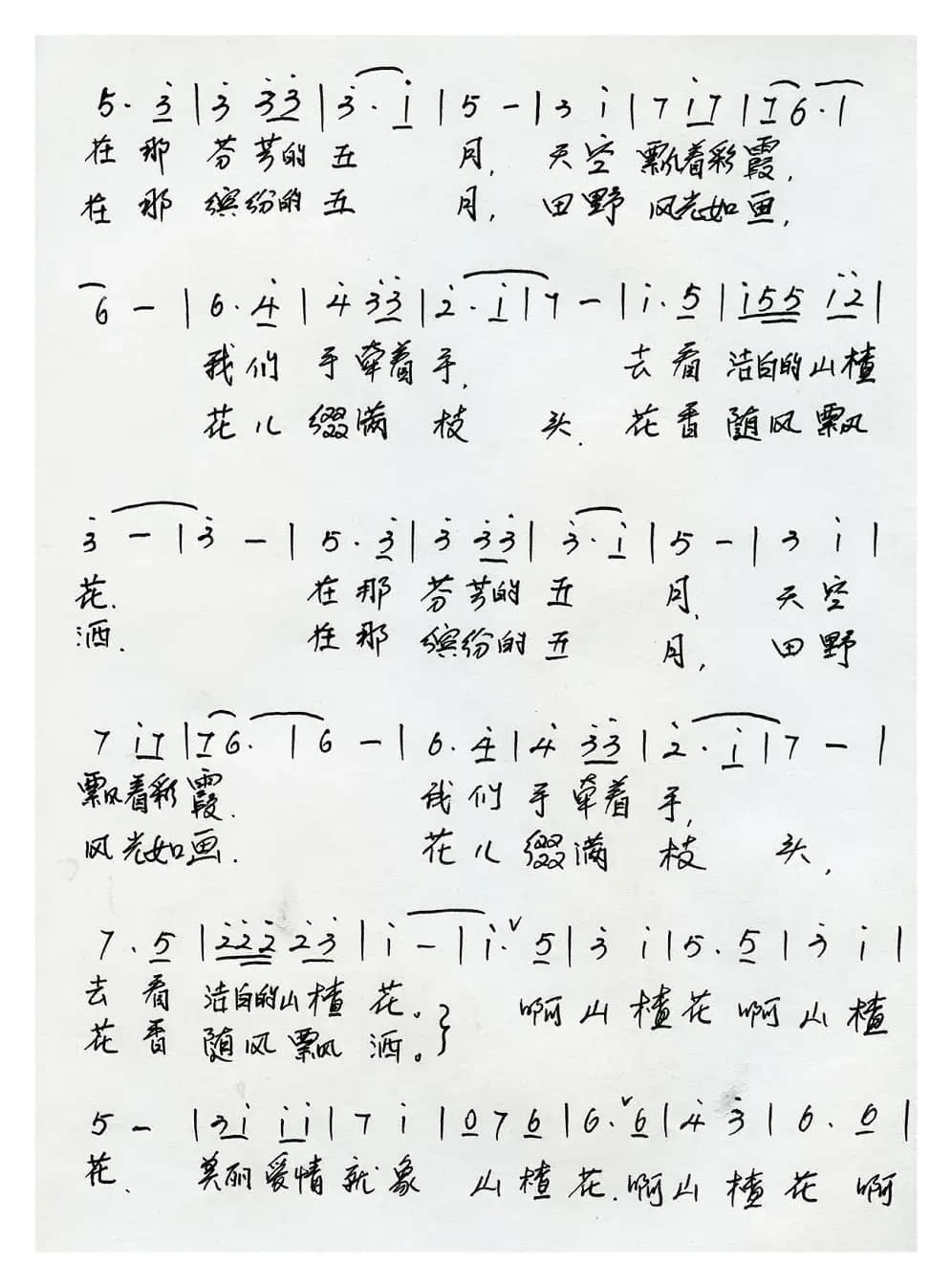 我们去看山楂花