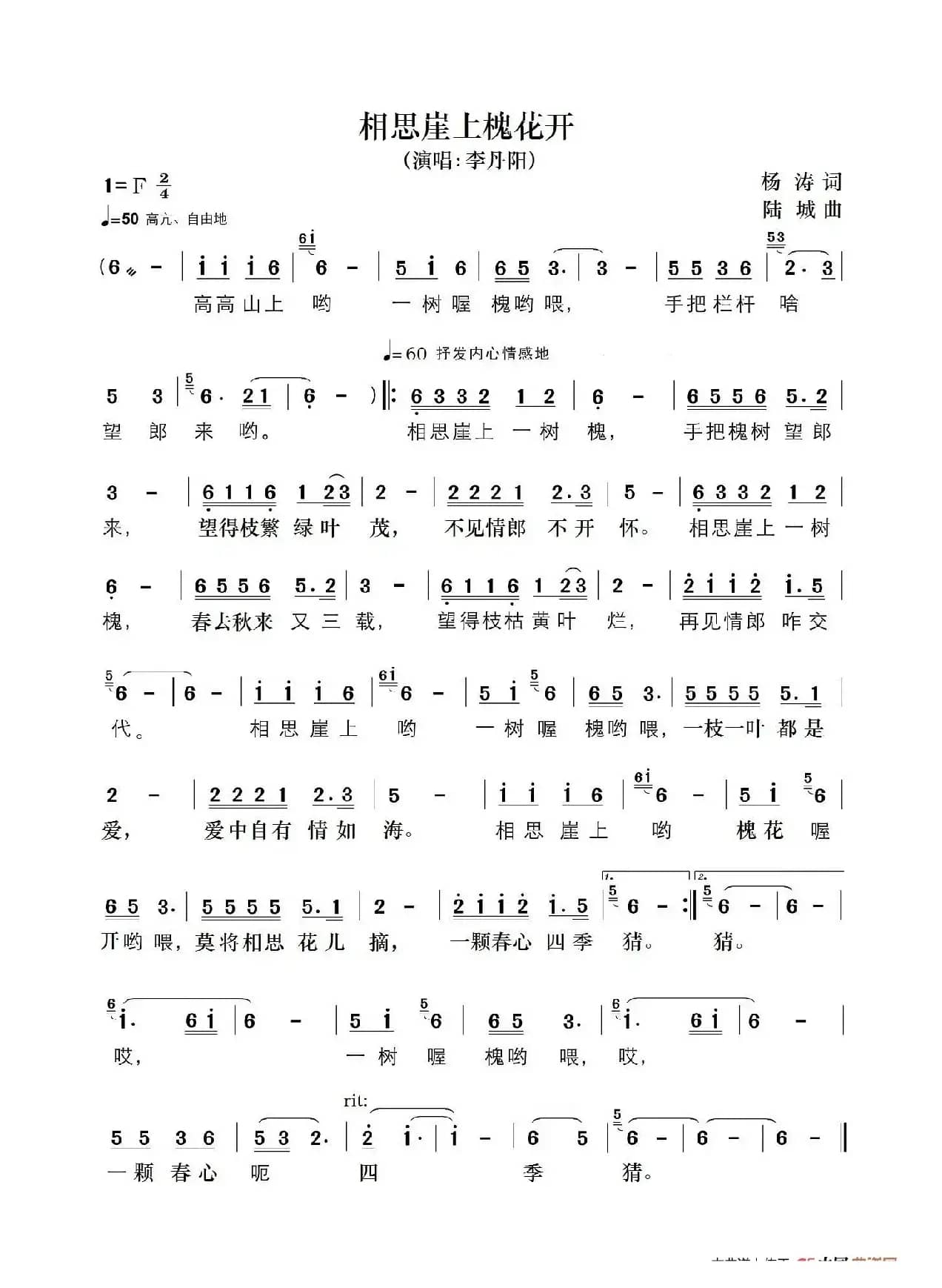 相思崖上槐花开