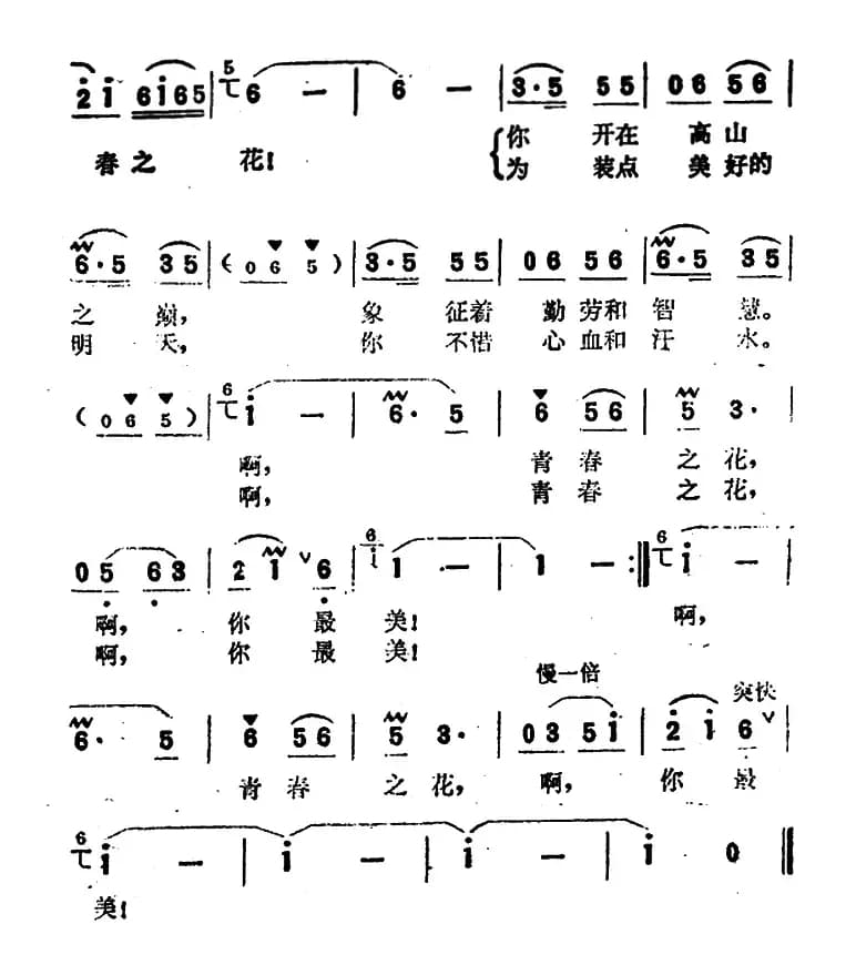 啊，青春之花（电视剧《青春之花》插曲）